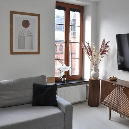 Apartmán Euro Loft Old Town *
